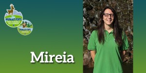 Mireia