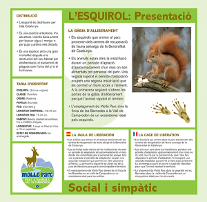 Squirrel-mollo-parc