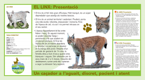 the linx  Molló Parc