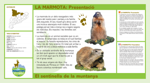 Marmots molló parc