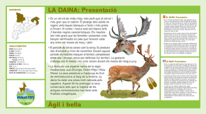 The fallow deer-mollo-parc