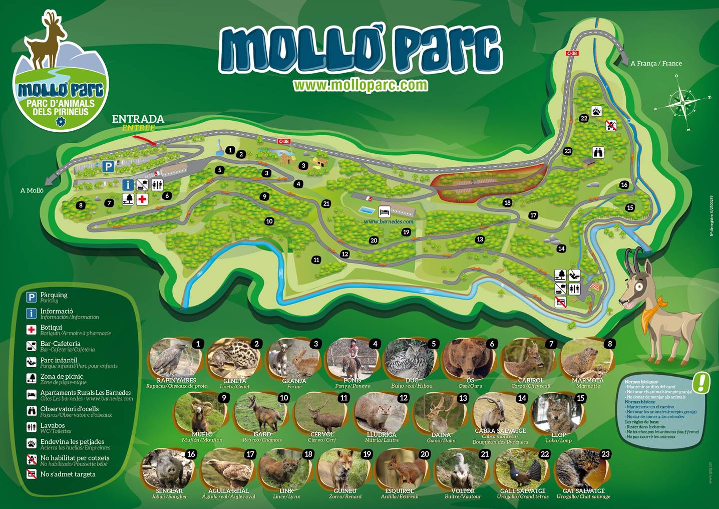 Mapa interactivo de los animales de Molló Parc